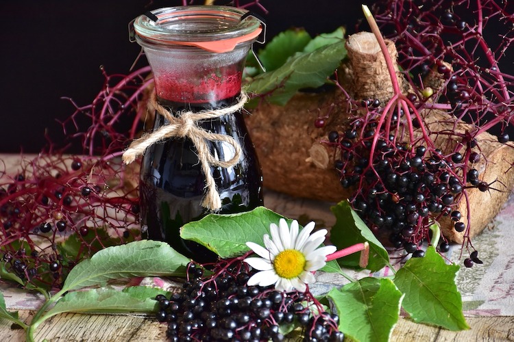 Elderberry Syrup